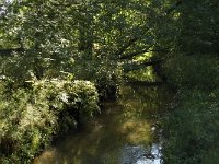 NL, Noord-Brabant, Reusel-De Mierden, De Utrecht, Reusel 11, Saxifraga-Jan van der Straaten