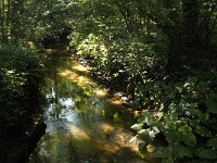 NL, Noord-Brabant, Reusel-De Mierden, De Utrecht, Reusel 2, Saxifraga-Jan van der Straaten