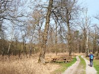 NL, Noord-Brabant, Reusel-De Mierden, Landgoed Wellenseind 7, Saxifraga-Tom Heijnen