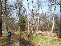 NL, Noord-Brabant, Reusel-De Mierden, Landgoed Wellenseind 8, Saxifraga-Tom Heijnen