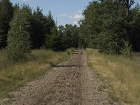 NL, Noord-Brabant, Reusel-De Mierden, Mispeleindsche Heide 4, Saxifraga-Jan van der Straaten