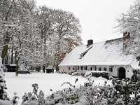 NL, Noord-Brabant, Sint-Michielsgestel, Landgoed Zegenwerp 2, Saxifraga-Tom Heijnen