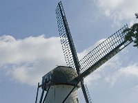 NL, Noord-Brabant, Sint-Michielsgestel, Molen Genenberg 3, Saxifraga-Jan van der Straaten