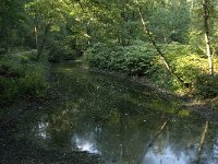 NL, Noord-Brabant, Sint-Michielsgestel, Zegenworp 2, Saxifraga-Jan van der Straaten