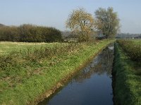 NL, Noord-Brabant, Sint-Michielsgestel, de Pettelaar 3, Saxifraga-Jan van der Straaten