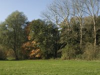 NL, Noord-Brabant, Sint-Michielsgestel, de Pettelaar 8, Saxifraga-Jan van der Straaten