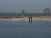 NL, Noord-Brabant, Someren, Beuven 13, Saxifraga-Jan van der Straaten