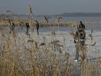 NL, Noord-Brabant, Someren, Beuven 29, Saxifraga-Jan van der Straaten