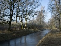 NL, Noord-Brabant, Someren, Peelrijt 1, Saxifraga-Marijke Verhagen