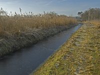 NL, Noord-Brabant, Someren, Peelrijt 5, Saxifraga-Jan van der Straaten