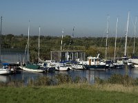 NL, Noord-Brabant, Steenbergen, Benedensas 5, Saxifraga-Marijke Verhagen