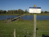 NL, Noord-Brabant, Steenbergen, Dintelse Gorzen 19, Saxifraga-Jan van der Straaten