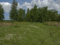 NL, Noord-Brabant, Steenbergen, Dintelse Gorzen 24, Saxifraga-Jan van der Straaten