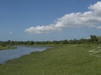 NL, Noord-Brabant, Steenbergen, Dintelse Gorzen 33, Saxifraga-Jan van der Straaten