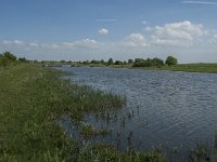 NL, Noord-Brabant, Steenbergen, Dintelse Gorzen 35, Saxifraga-Jan van der Straaten