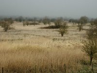 NL, Noord-Brabant, Steenbergen, Slikken van de Heen 8, Saxifraga-Jan van der Straaten