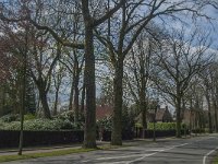 NL, Noord-Brabant, Tilburg, Bredaseweg 8, Saxifraga-Jan van der Straaten