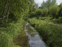 NL, Noord-Brabant, Tilburg, Nieuwe Tiend 2, Saxifraga-Jan van der Straaten