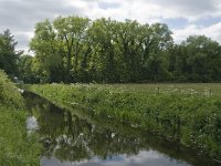 NL, Noord-Brabant, Tilburg, Nieuwe Tiend 3, Saxifraga-Jan van der Straaten