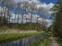 NL, Noord-Brabant, Tilburg, Nieuwe Tiend 31, Saxifraga-Marijke Verhagen