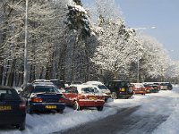 NL, Noord-Brabant, Tilburg, Warandelaan 2, Saxifraga-Jan van der Straaten