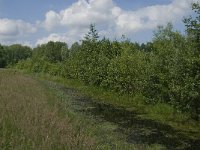 NL, Noord-Brabant, Tilburg, de Oude Tiend 1, Saxifraga-Jan van der Straaten