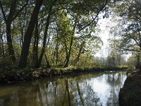 NL, Noord-Brabant, Valkenswaard, Borkel, Dommel 3, Saxifraga-Jan van der Straaten