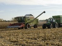 NL, Noord-Brabant, Valkenswaard, De Plateaux 27, Saxifraga-Jan van der Straaten