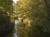 NL, Noord-Brabant, Valkenswaard, De Plateaux, Dommel 1, Saxifraga-Jan van der Straaten