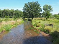 NL, Noord-Brabant, Valkenswaard, Dommel in De Malpie 5, Saxifraga-Tom Heijnen