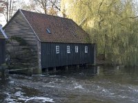 NL, Noord-Brabant, Valkenswaard, Dommelsche Watermolen 11, Saxifraga-Jan van der Straaten