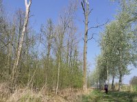 NL, Noord-Brabant, Valkenswaard, Driebruggen 4, Saxifraga-Tom Heijnen