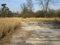 NL, Noord-Brabant, Valkenswaard, Grevenschutsven 15, Saxifraga-Jan van der Straaten