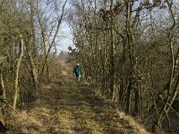 NL, Noord-Brabant, Valkenswaard, Grevenschutsven 3, Saxifraga-Marijke Verhagen