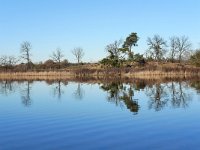 NL, Noord-Brabant, Valkenswaard, Groot Malpieven in De Malpie 2, Saxifraga-Tom Heijnen