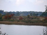 NL, Noord-Brabant, Valkenswaard, Groot Malpieven in De Malpie 3, Saxifraga-Tom Heijnen