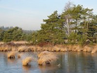 NL, Noord-Brabant, Valkenswaard, Malpie 1, Saxifraga-Harry van Oosterhout : Malpie, ven, ijs, winter