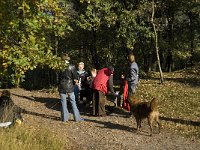 NL, Noord-Brabant, Valkenswaard, Malpiebergsche Heide 9, Saxifraga-Jan van der Straaten