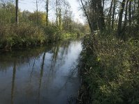 NL, Noord-Brabant, Valkenswaard, Malpiebergsche Heide, Dommel 1, Saxifraga-Jan van der Straaten