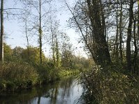 NL, Noord-Brabant, Valkenswaard, Malpiebergsche Heide, Dommel 4, Saxifraga-Jan van der Straaten