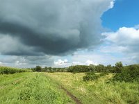 NL, Noord-Brabant, Valkenswaard, Patersgronden 6, Saxifraga-Tom Heijnen