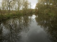 NL, Noord-Brabant, Valkenswaard, Pelterheggen 29, Saxifraga-Jan van der Straaten