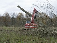 NL, Noord-Brabant, Valkenswaard, Pelterheggen 34, Saxifraga-Jan van der Straaten