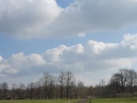 NL, Noord-Brabant, Valkenswaard, Pelterheggen 42, Saxifraga-Marijke Verhagen