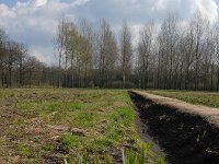 NL, Noord-Brabant, Valkenswaard, Pelterheggen 43, Saxifraga-Jan van der Straaten