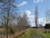 NL, Noord-Brabant, Valkenswaard, Schaftse Brug 5, Saxifraga-Jan van der Straaten