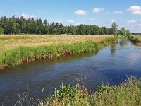 NL, Noord-Brabant, Valkenswaard, Tongelreep in Patersgronden 7, Saxifraga-Tom Heijnen