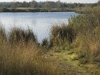 NL, Noord-Brabant, Valkenswaard, Vaarven 4, Saxifraga-Jan van der Straaten