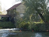 NL, Noord-Brabant, Valkenswaard, Venbergse watermolen 3, Saxifraga-Jan van der Straaten