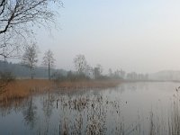 NL, Noord-Brabant, Valkenswaard, Visvijvers in Landgoed Valkenhorst 2, Saxifraga-Tom Heijnen